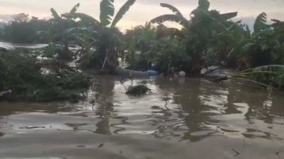 Seorang Warga Meninggal Akibat Banjir Bandang Semarang