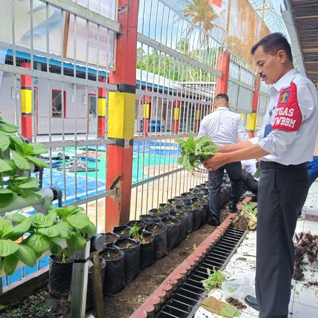 Dukung Program ketahanan Nasional, Lapas kelas III Talu beri Pelatihan Budi Daya Tanaman kepada Warga Binaan