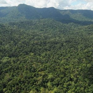 Kisah Perantau Minang Berkuasa di Pedalaman Hutan Kalimantan Hingga Dirikan Kerajaan
