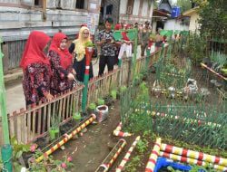 Pembinaan Kelompok Dasa Wisma, Cara TP PKK Agam Tingkatkan Pengetahuan Kader
