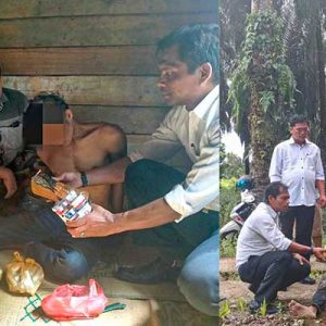 Satresnarkoba Polres Pasaman Barat Tangkap Dua Orang Pengedar Ganja di Dua Lokasi Berbeda