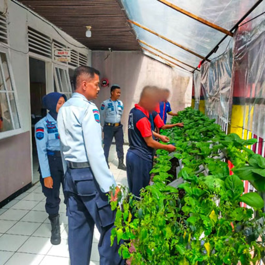 Warga Binaan Lapas Kelas III Talu Semangat Ikuti Pelatihan Tanaman Hidroponik