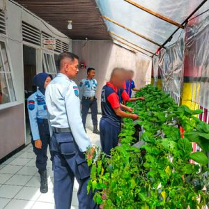 Warga Binaan Lapas Kelas III Talu Semangat Ikuti Pelatihan Tanaman Hidroponik