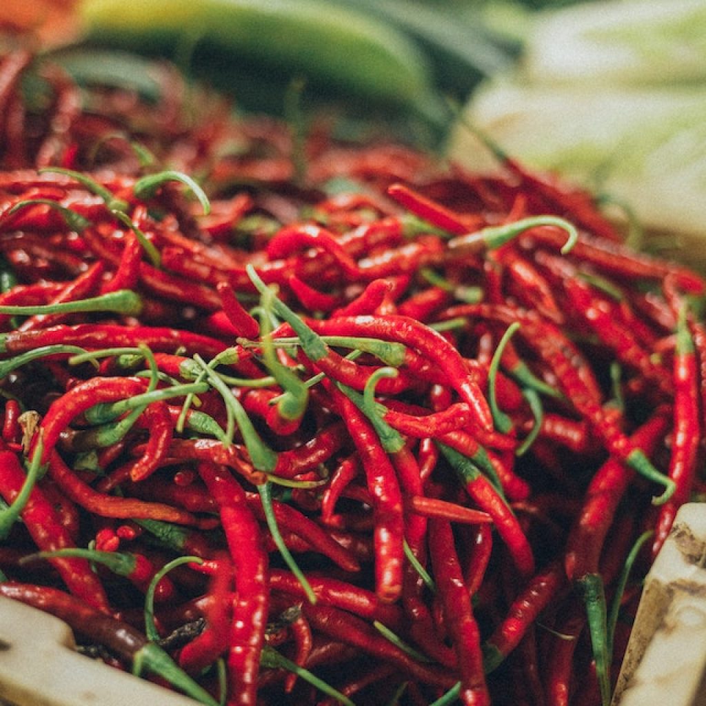 Manfaat Cabe untuk Kesehatan, Pedas Tapi Bermanfaat