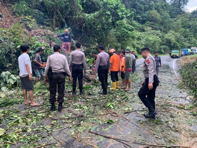 Reaksi Cepat, Personil Polres Dharmasraya lakukan Evaluasi Pohon Tumbang