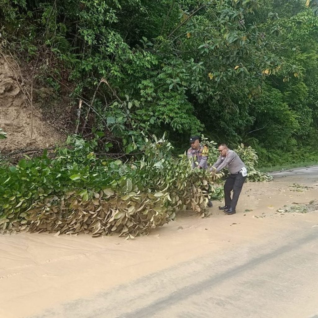 Atasi Kemacetan Personil Polsek Pulau Punjung bersihkan Pohon Tumbang