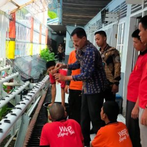 Antusias, kembali Warga binaan kelas III Talu ikuti pelatihan tanaman sayuran Hidroponik Pakchoy di Areal Lapas