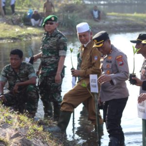 Bersama Kodim 0305 Pasaman dan Forkopimda, Bupati Hamsuardi Ikuti Penanaman Mangrove Secara Serentak Oleh Jajaran TNI se-Indonesia
