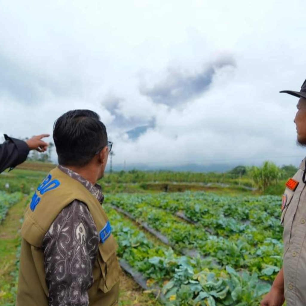 Bantu Korban Letusan, Puluhan Relawan Diterjunkan Bupati Tanah Datar