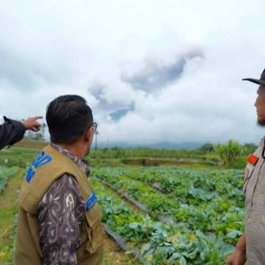Bantu Korban Letusan, Puluhan Relawan Diterjunkan Bupati Tanah Datar