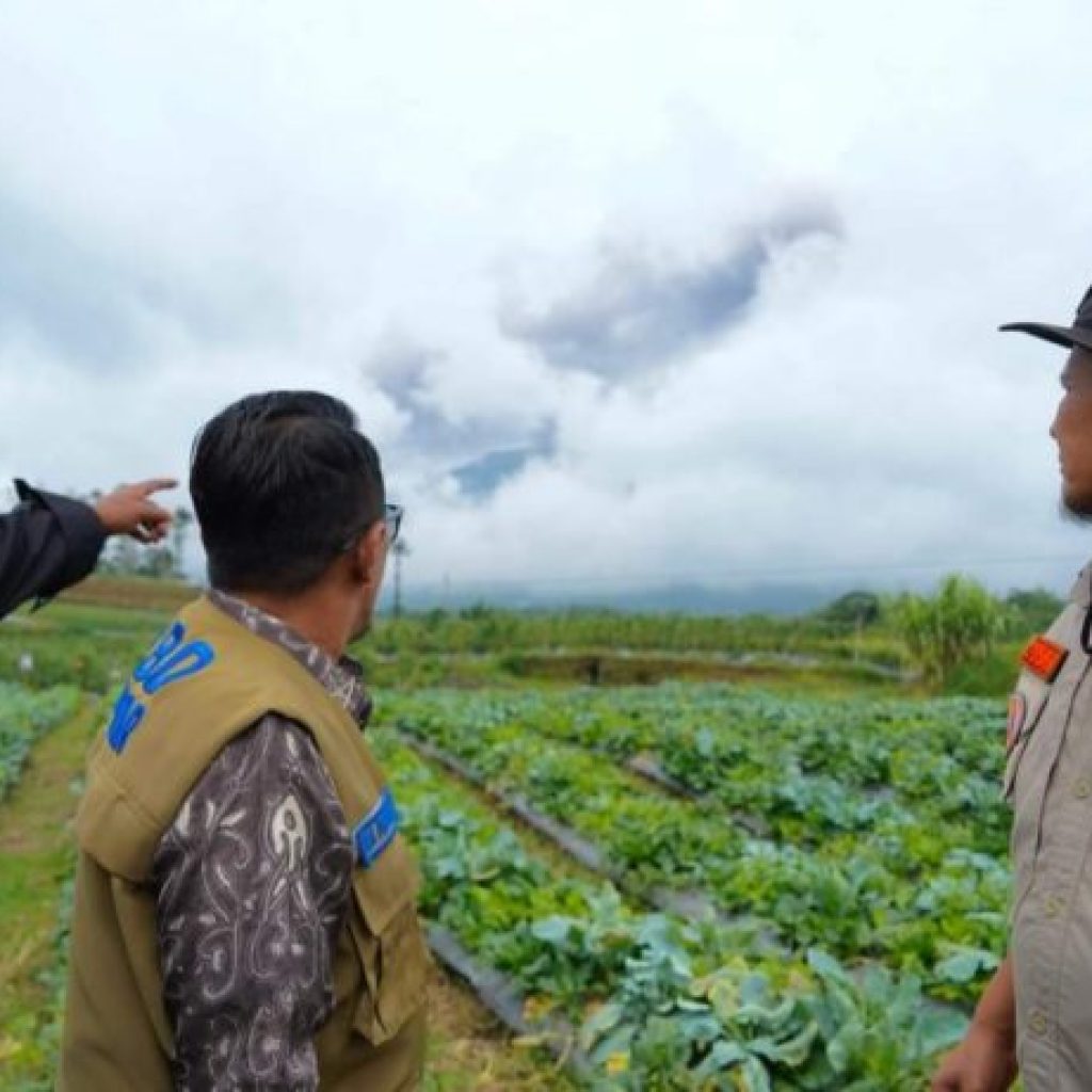 Bantu Korban Letusan, Puluhan Relawan Diterjunkan Bupati Tanah Datar