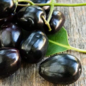 Manfaat Buah Jamblu Kaling/Jamblang Yang Tidak Kita Ketahui