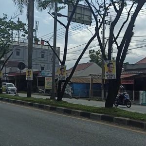Banyaknya Poster Dan Baleho Caleg Di Sepanjang Jalan Rimbo Datar