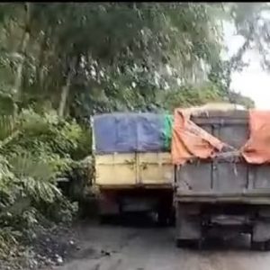 Tragis, Sang Putra Terlindas Mobil Ayah Sendiri