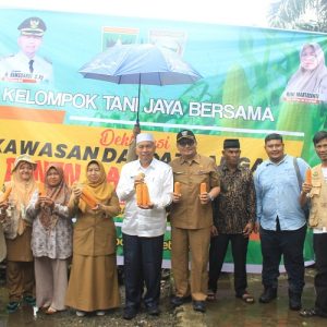 Kelompok Tani Jaya Bersama Ladang Rimbo Deklarasi Kawasan Daulat Pangan, Panen Raya Jagung Bersama Bupati Hamsuardi