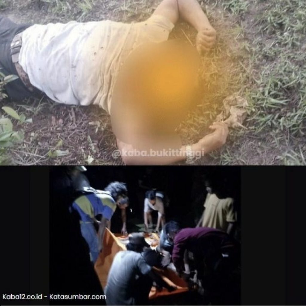 Misteri Kematian Satpam di Lahan Sawit: Mata dan Telinga Hilang, Polisi Selidiki Kasusnya