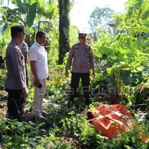 Seorang Pria Paruh Baya ditemukan Tewas di kawasan Kebun Kelapa Sawit di Nagari Lingkuang Aua Pasaman Barat