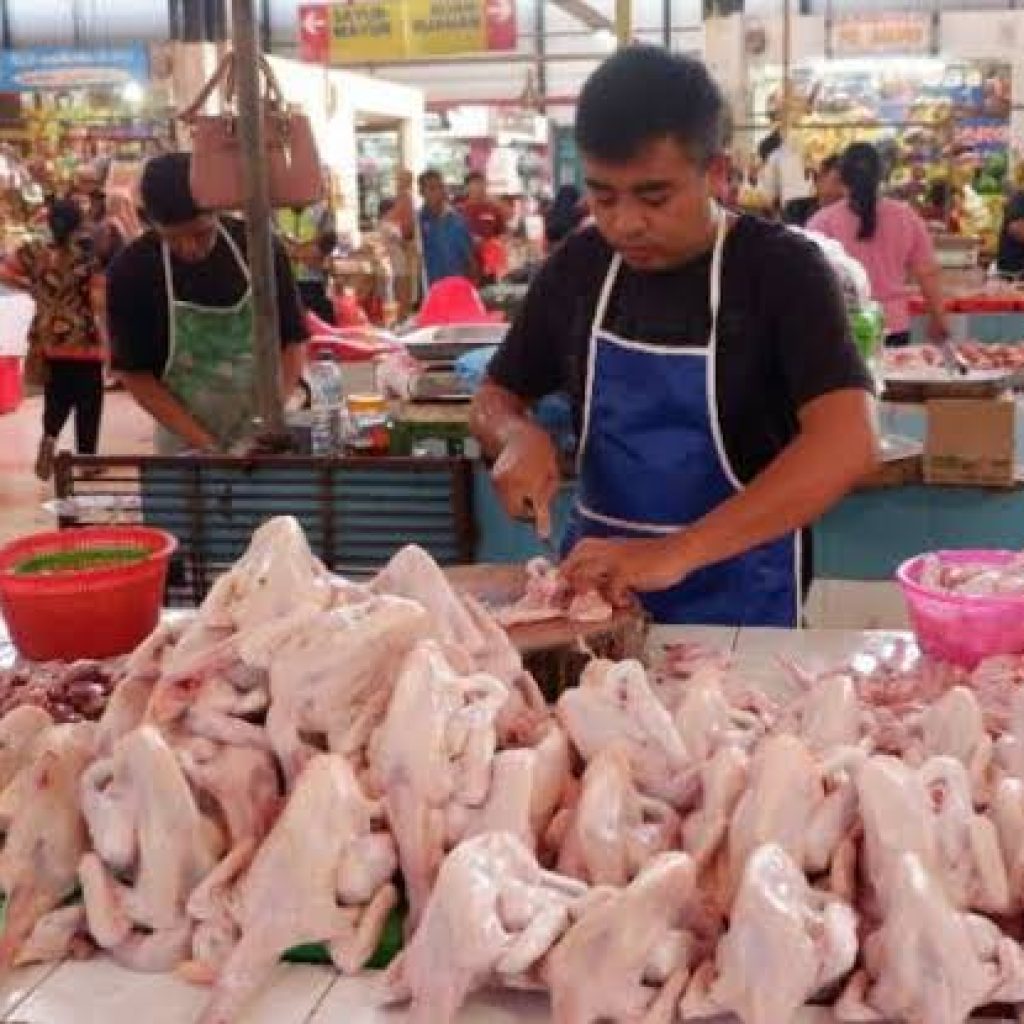 Ayam Potong Wajib Bersertifikat Halal Demi Keamanan Konsumen, Mulai Oktober 2024