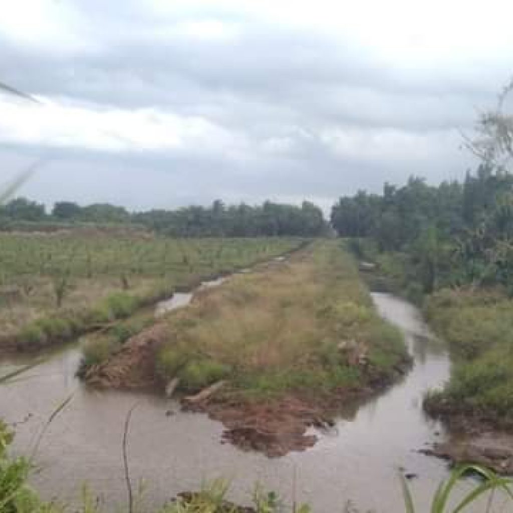 Banjir Rendam Lahan Petani Air Bangis Pasbar, Pemkab Lakukan Mediasi dan Tinjau Lapangan