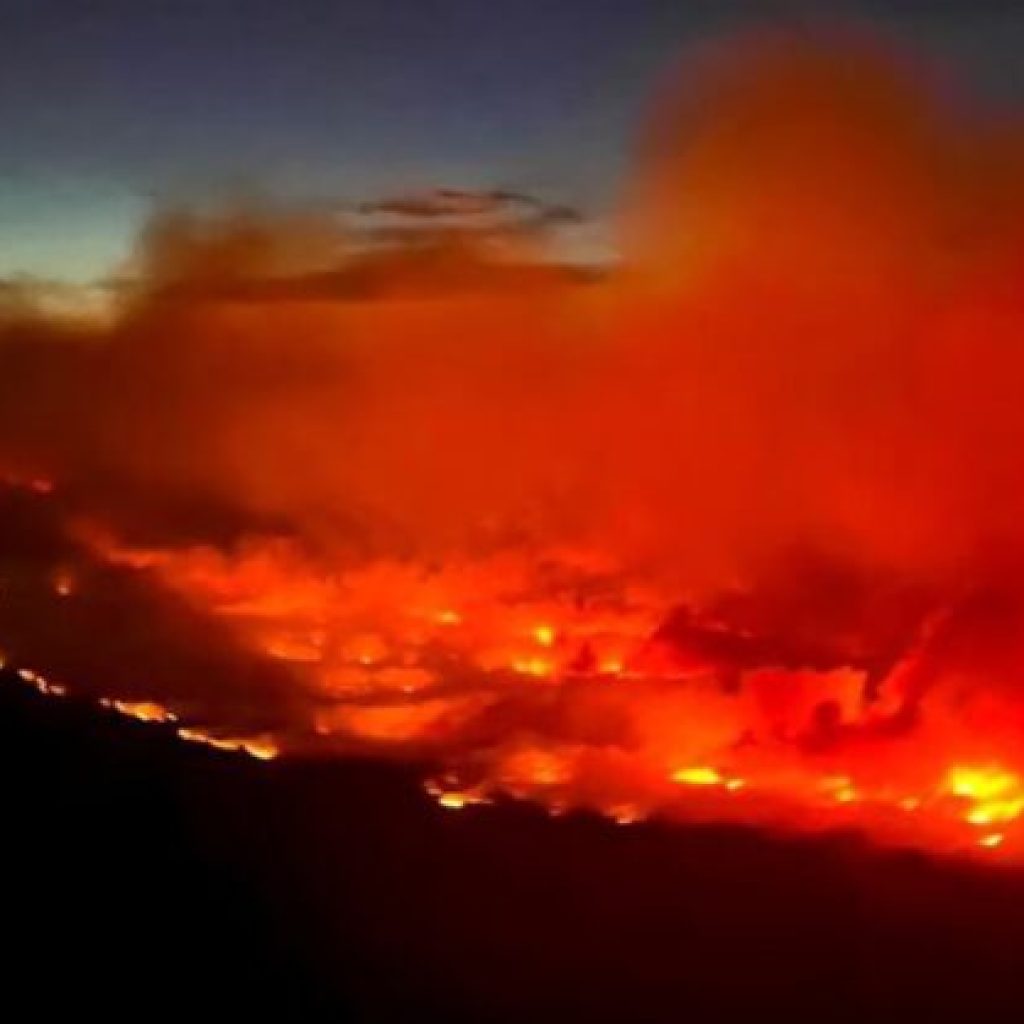 Kanada Membara, Kebakaran Hutan Telan Ribuan Hektar dan Paksa Warga Mengungsi