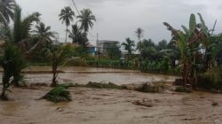 Nagari Paninjauan Dilanda Banjir Bandang: Keindahan Alam yang Berubah Menjadi Luka