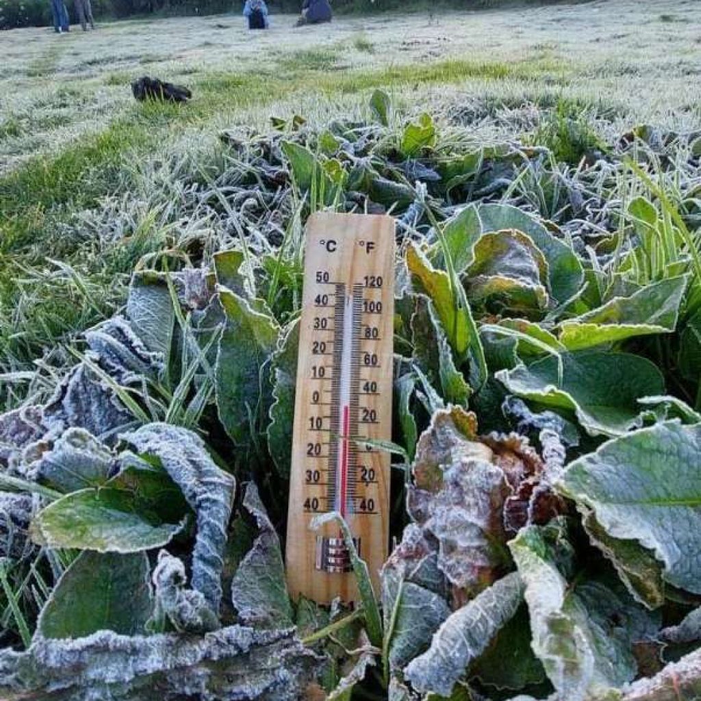 Dieng Kembali Diselimuti Embun Es, Suhu Mencapai Minus 1,2 Derajat Celcius!
