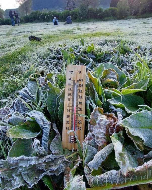 Dieng Kembali Diselimuti Embun Es, Suhu Mencapai Minus 1,2 Derajat Celcius!