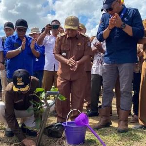 Hijaukan DAS Batang Sikabau: Wabup Risnawanto dan PT Bakrie Pasaman Plantations Bergerak Bersama