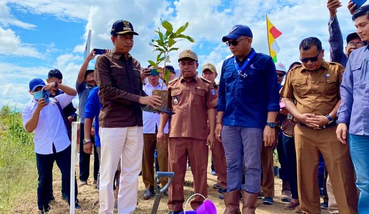 Hijaukan DAS Batang Sikabau: Wabup Risnawanto dan PT Bakrie Pasaman Plantations Bergerak Bersama