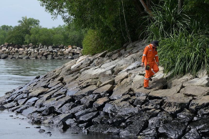 Tumpahan Minyak Cemari Perairan Sentosa, Biota Laut dan Wisata Terancam!