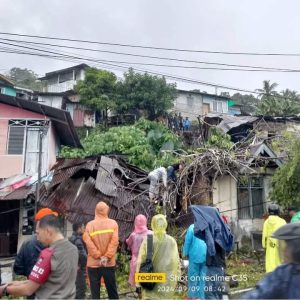 Cuaca Ekstrem Landa Padang, Satpol PP dan TRC Satlinmas Evakuasi Pohon Tumbang di Kecamatan Padang Selatan