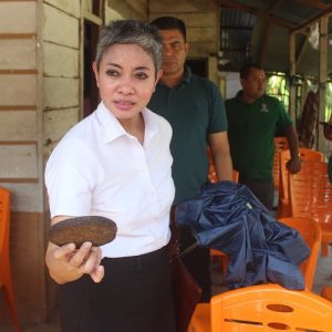 Kunjungan BRIN ke Pasbar: Tinjau Proses Pembuatan Gula Merah dari Batang Sawit