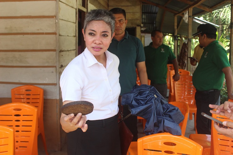 Kunjungan BRIN ke Pasbar: Tinjau Proses Pembuatan Gula Merah dari Batang Sawit