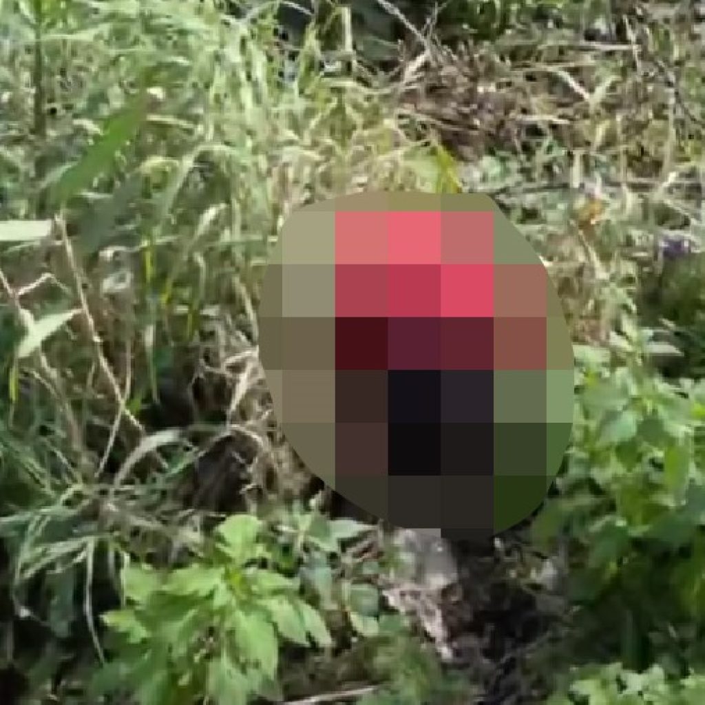 Misteri Penemuan Mayat di Jurang Sitinjau Lauik, Polisi Masih Selidiki Identitas Korban