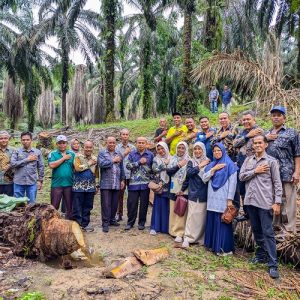 BPOM Sumbar dan BPOM Kota Payakumbuh Kunjungi Pasbar Terkait Pembuatan Gula Merah dari Nira Sawit