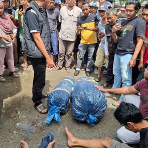 Petugas Gabungan Amankan Kurir Narkoba dengan 26 Kilogram Ganja Kering di Pasaman Barat
