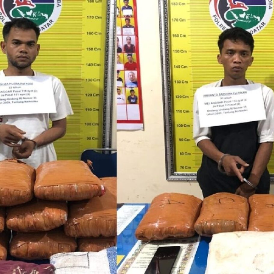 Dua Pria di Tanah Datar Ditangkap Polisi, 12 Kg Ganja Disita