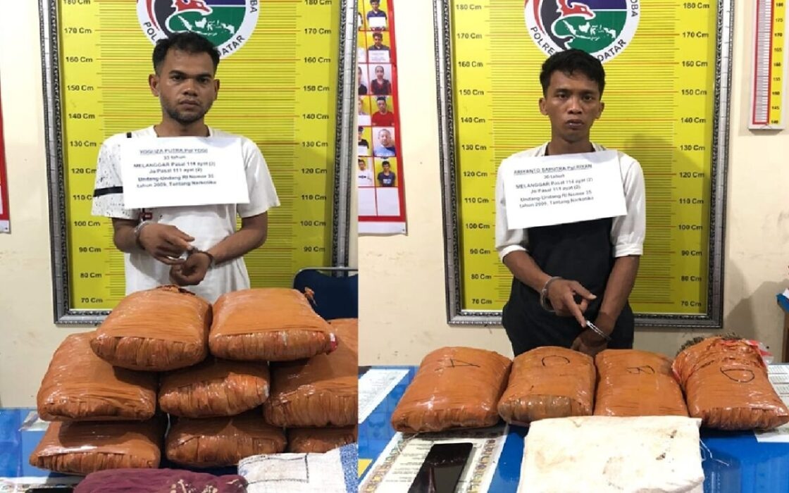 Dua Pria di Tanah Datar Ditangkap Polisi, 12 Kg Ganja Disita