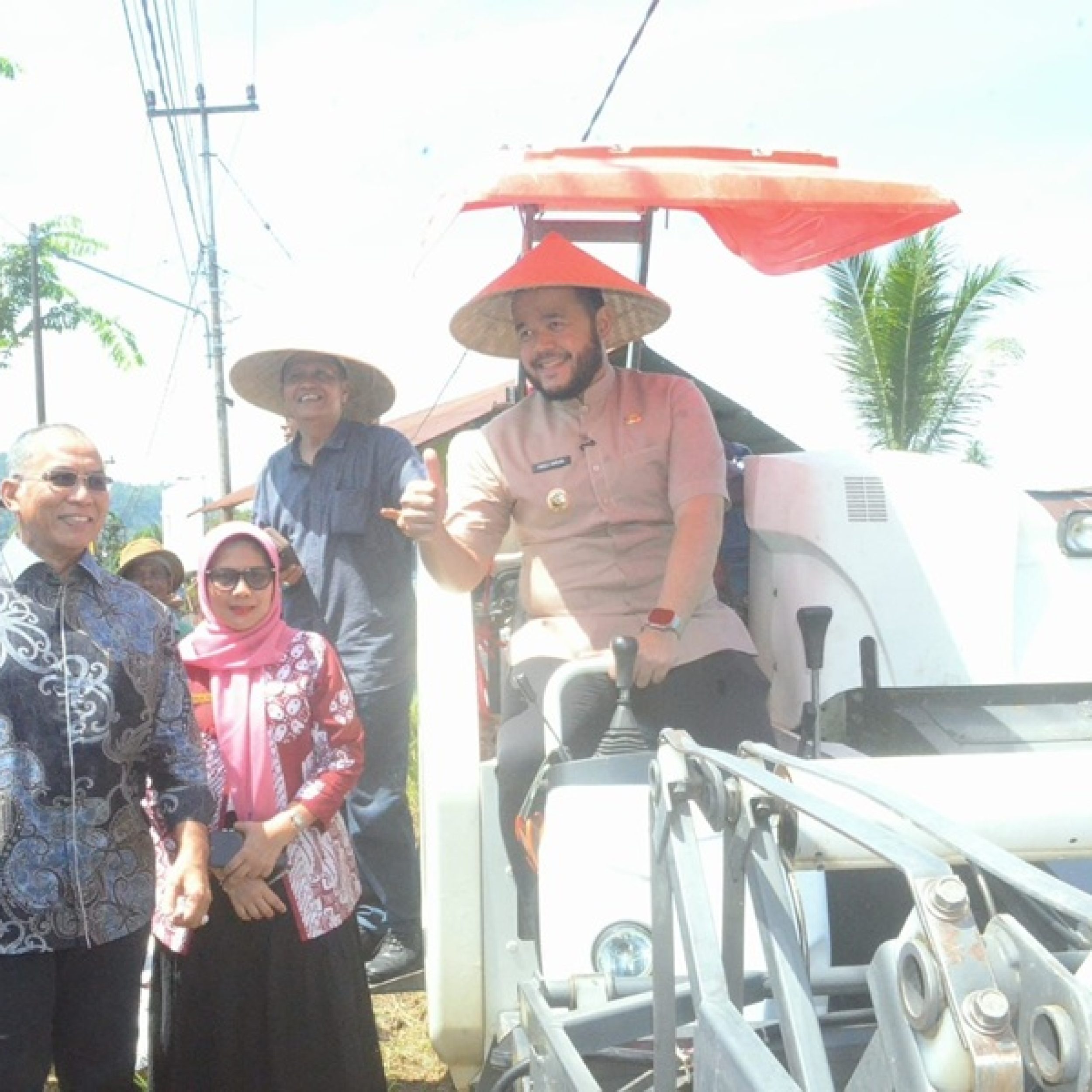 Fadly Amran Panen Padi di Kuranji, Wujudkan Program Padang Melayani