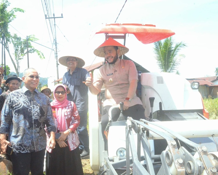 Fadly Amran Panen Padi di Kuranji, Wujudkan Program Padang Melayani