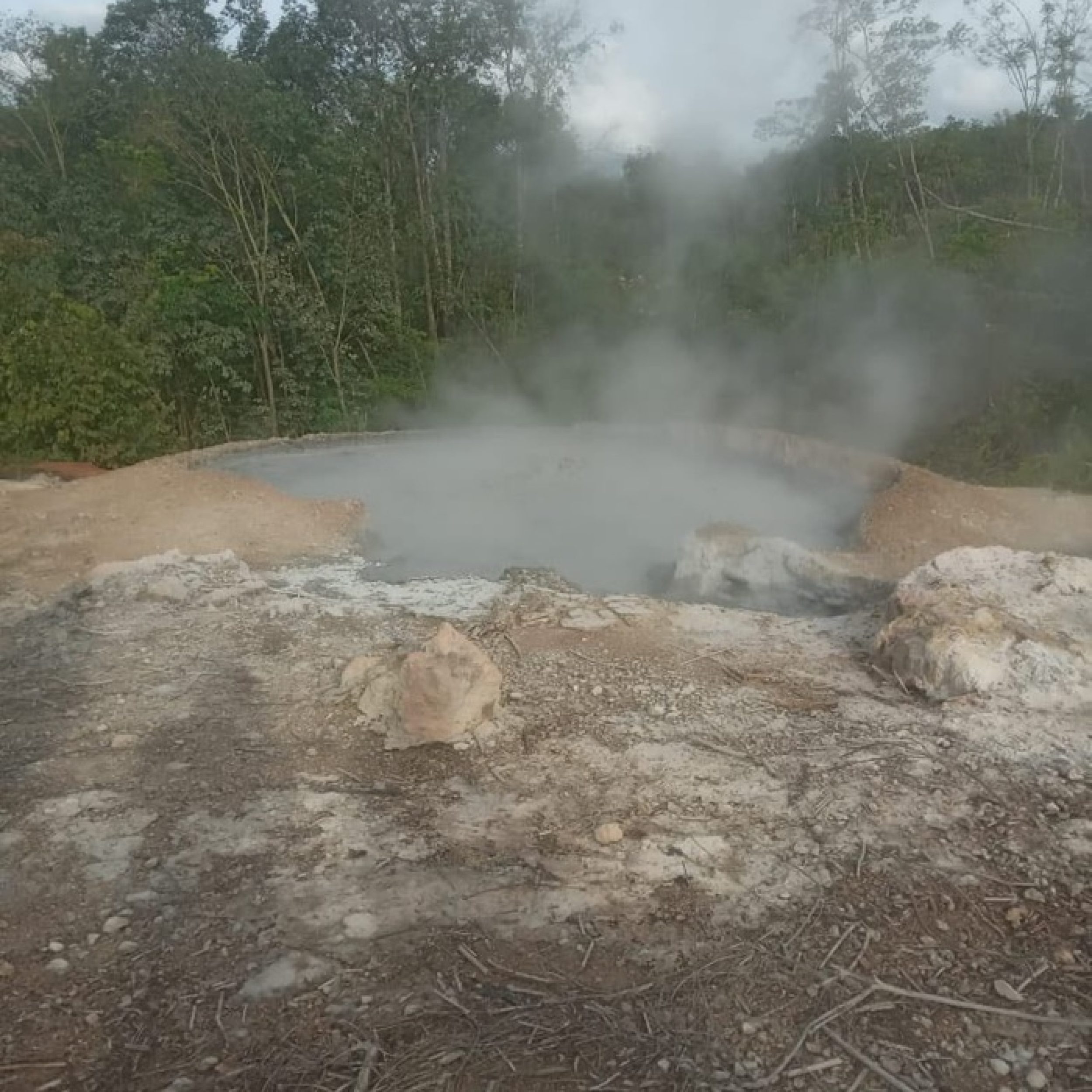 Fenomena Lumpur Panas Rusak Kebun Warga di Mandailing Natal