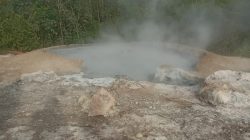 Fenomena Lumpur Panas Rusak Kebun Warga di Mandailing Natal