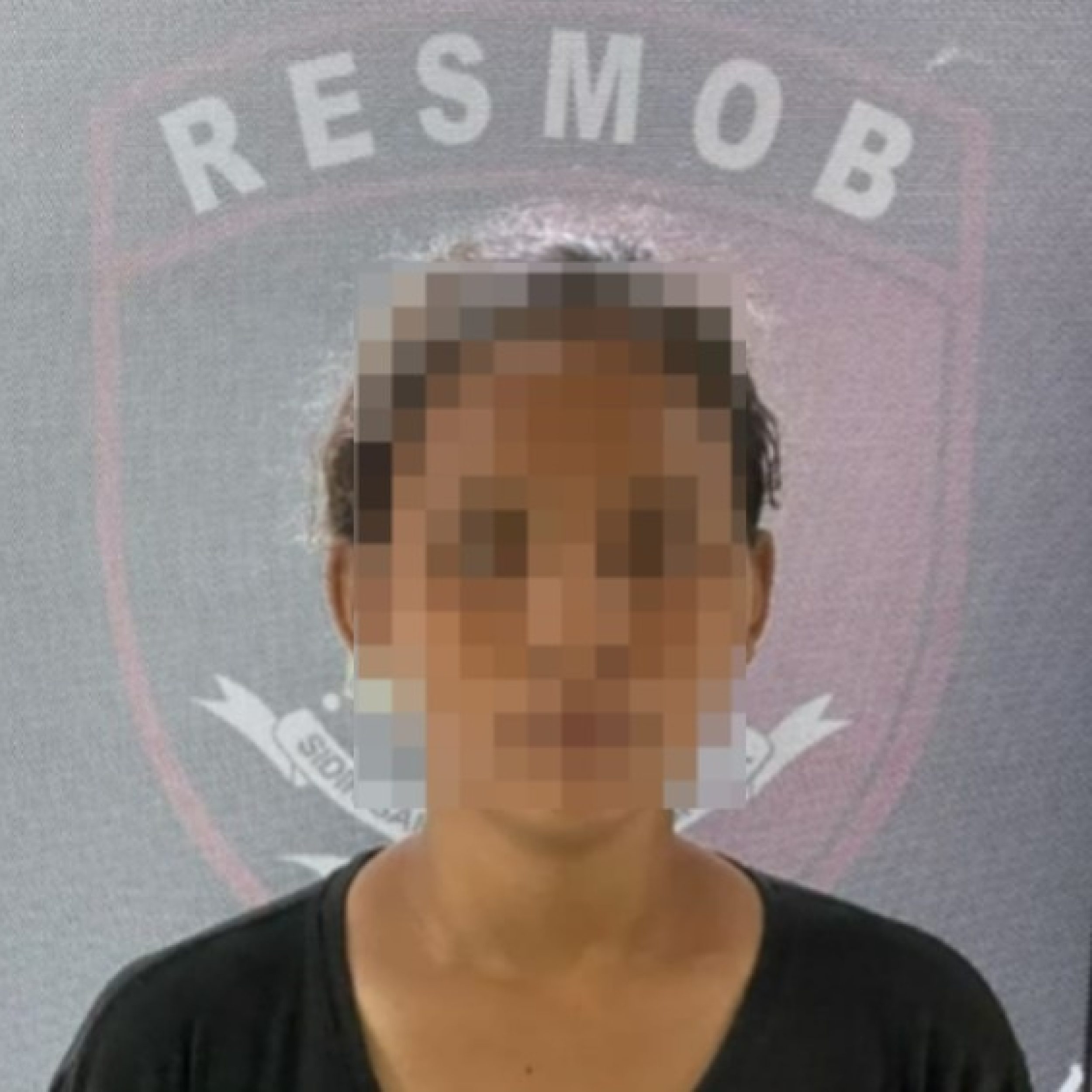 Ibu Hamil Curi HP untuk Biaya Melahirkan, Kasus Berakhir Damai