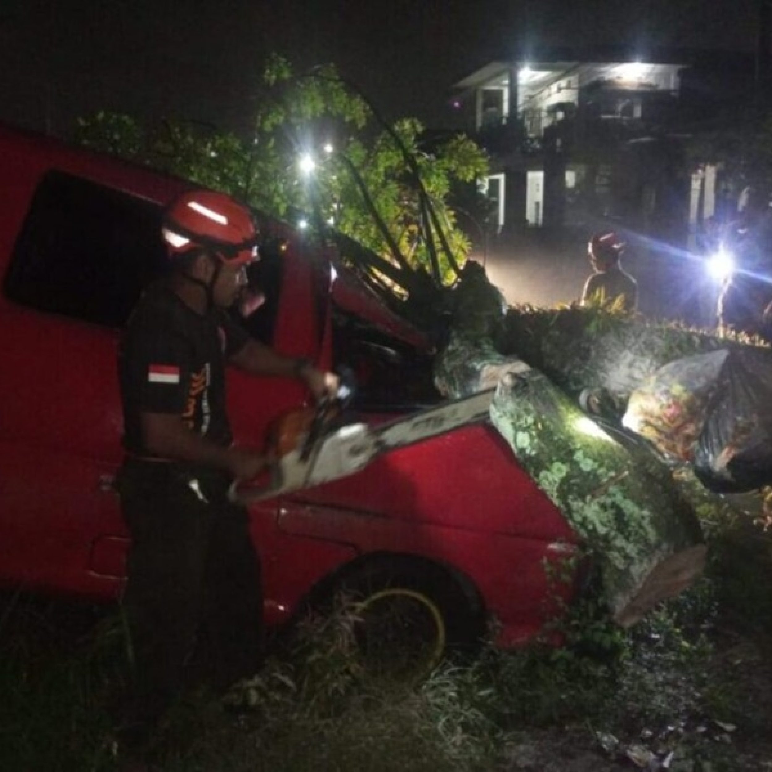 Mobil dan Pagar Warga Rusak Dihantam Pohon Tumbang di Padang