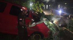 Pohon Kedondong Tumbang di Padang, Kerugian Rp10 Juta