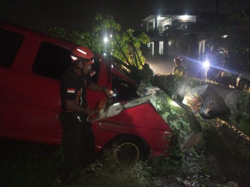 Pohon Kedondong Tumbang di Padang, Kerugian Rp10 Juta
