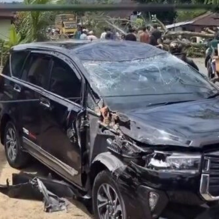Pohon Tumbang Hantam Mobil di Pesisir Selatan, Sopir Selamat