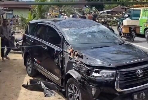 Pohon Tumbang Hantam Mobil di Pesisir Selatan, Sopir Selamat