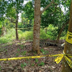 Polisi Akan Bongkar Makam Bayi Hasil Aborsi Ilegal di Padang Pariaman, Besok