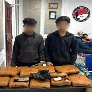 Polresta Bukittinggi Gagalkan Penyelundupan Ganja di Jalan Lintas Sumbar-Medan, Dua Kurir Ditangkap